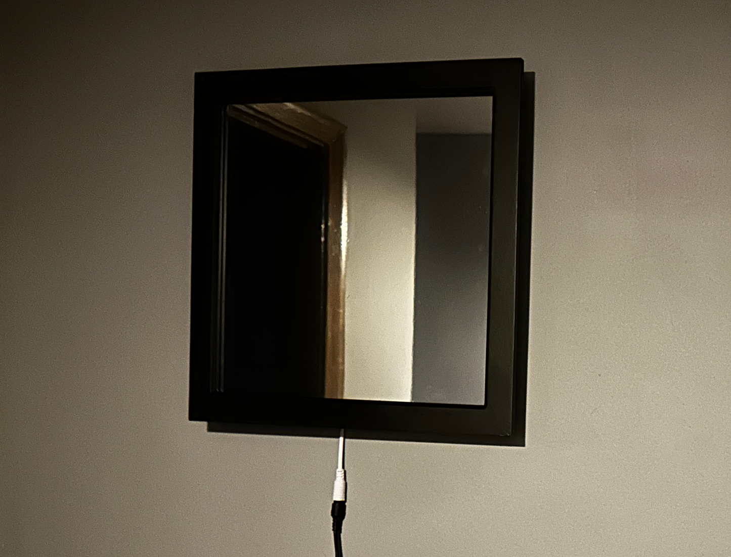 PISS Hidden Message Glow Mirror