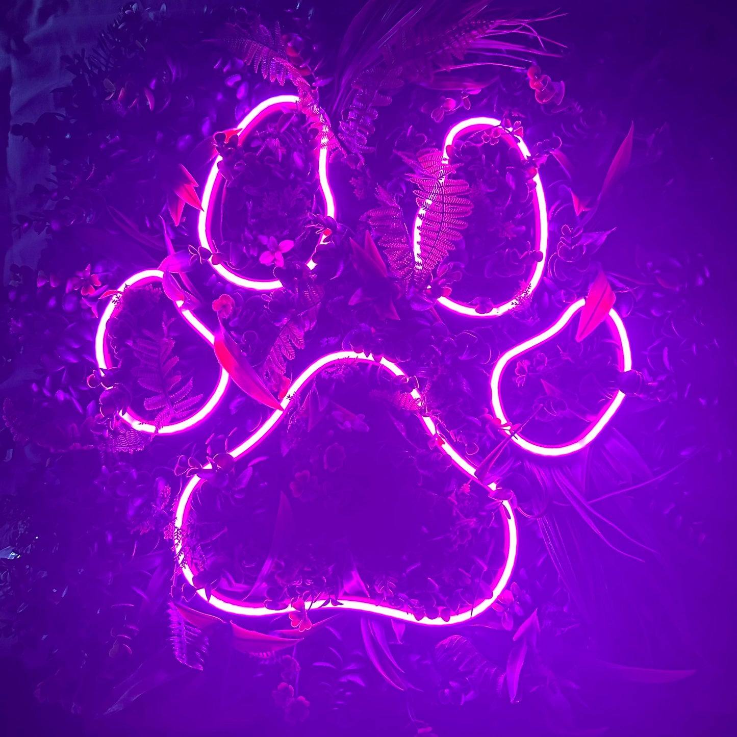 Neon Pup Paw Print 50cm x 50cm Foliage Backed