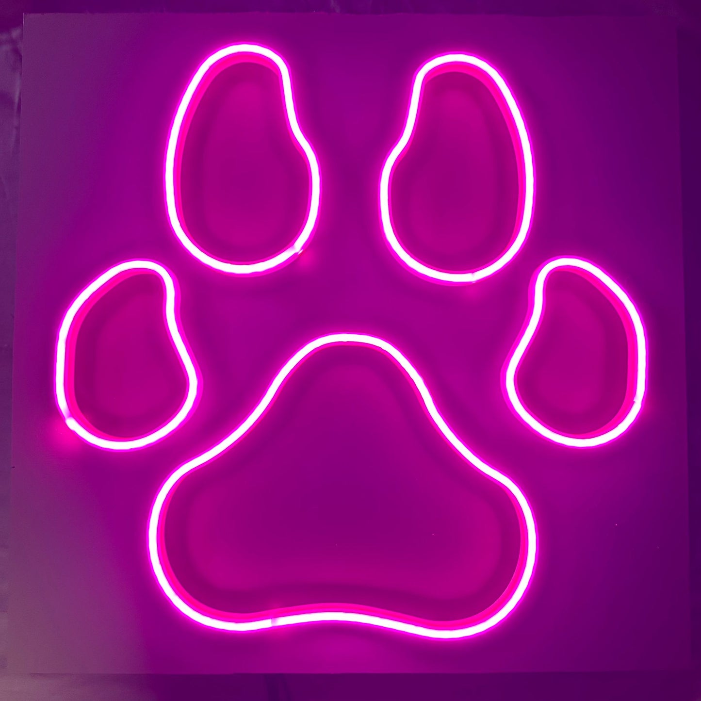 Neon Pup Paw Print 50cm x 50cm